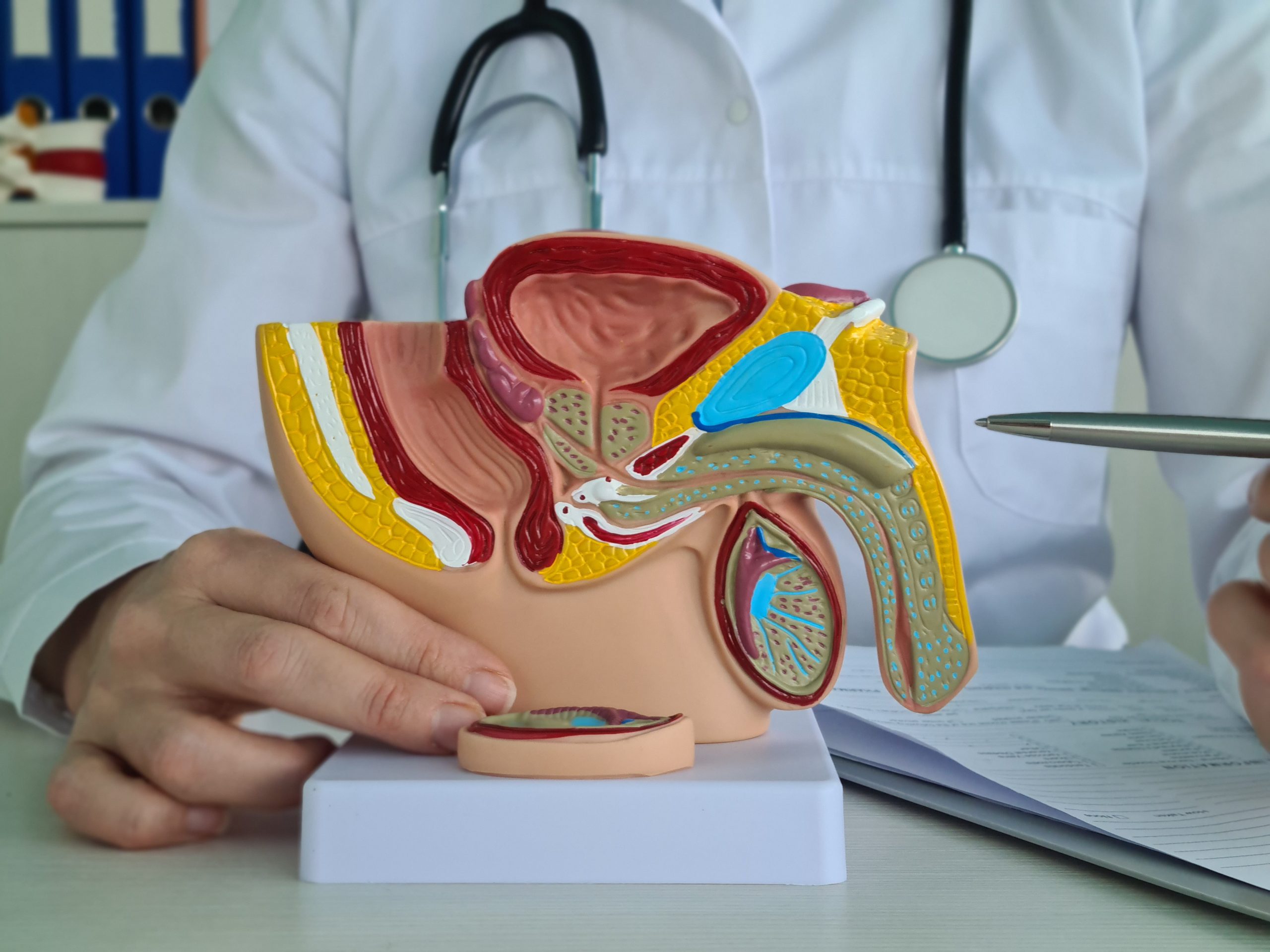 Didora Medical